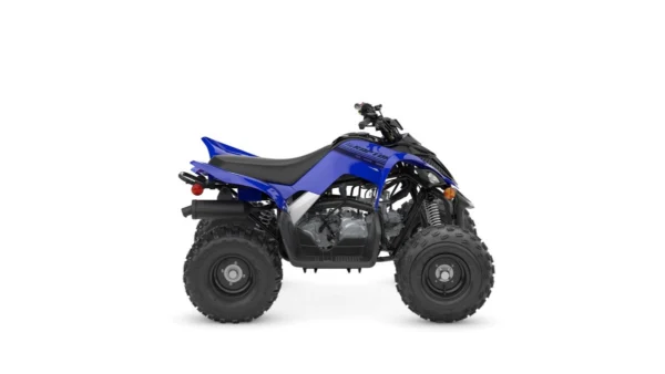 RAPTOR 110